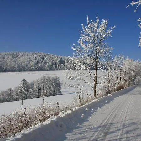 Appartamento Alte Schule Willingen (Upland)