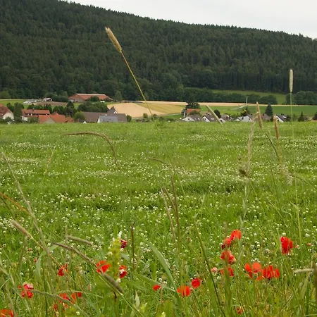 Appartement Alte Schule *