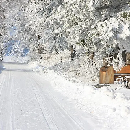 Alte Schule ヴィリンゲン