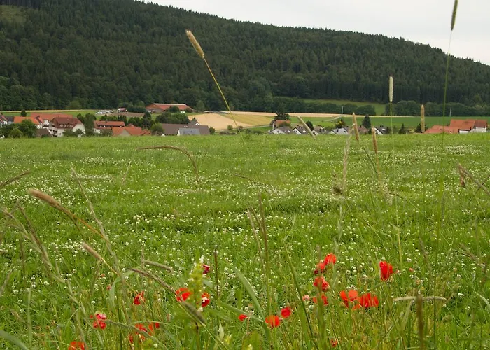 Διαμέρισμα Alte Schule *