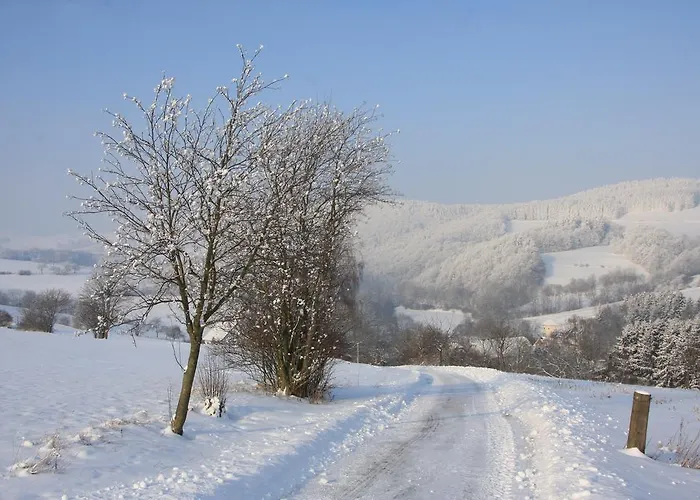 Alte Schule * Willingen (Upland)